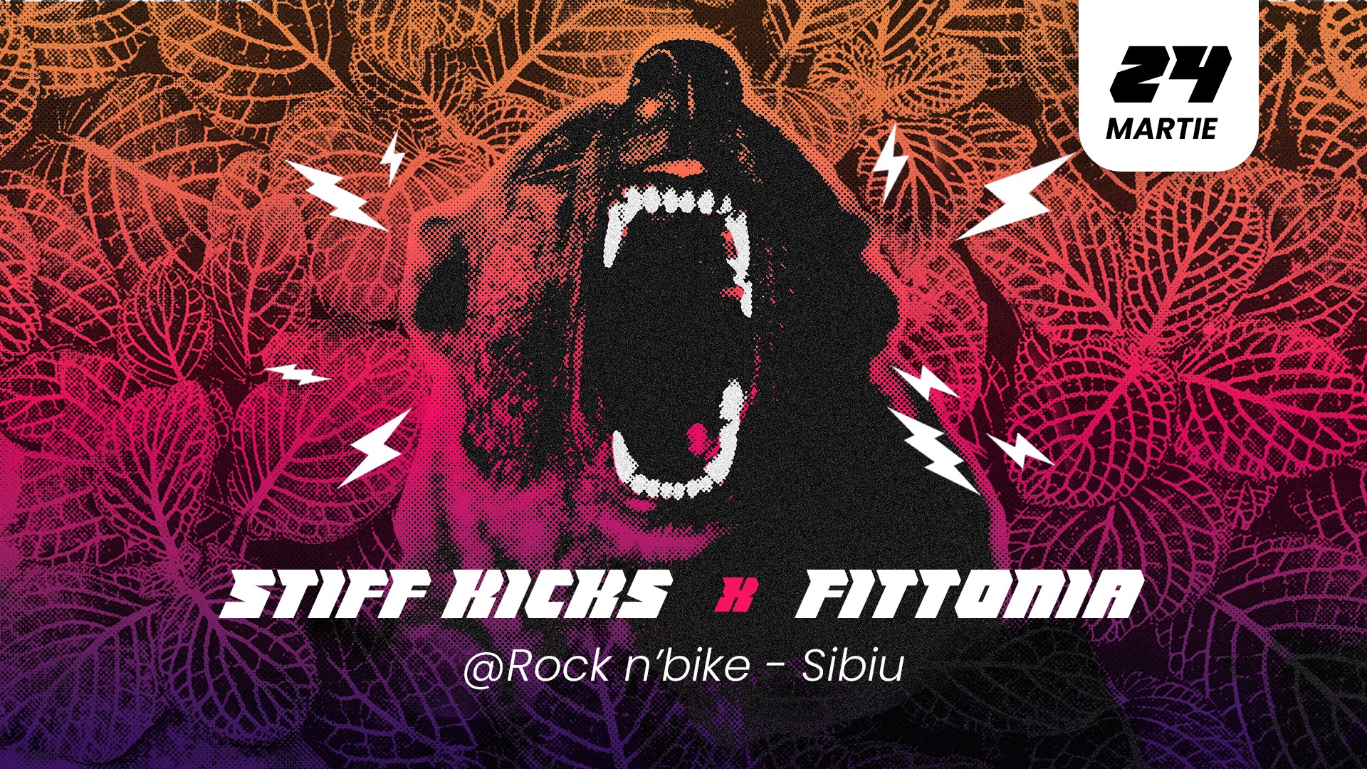 Stiff Kicks & Fittonia @Sibiu