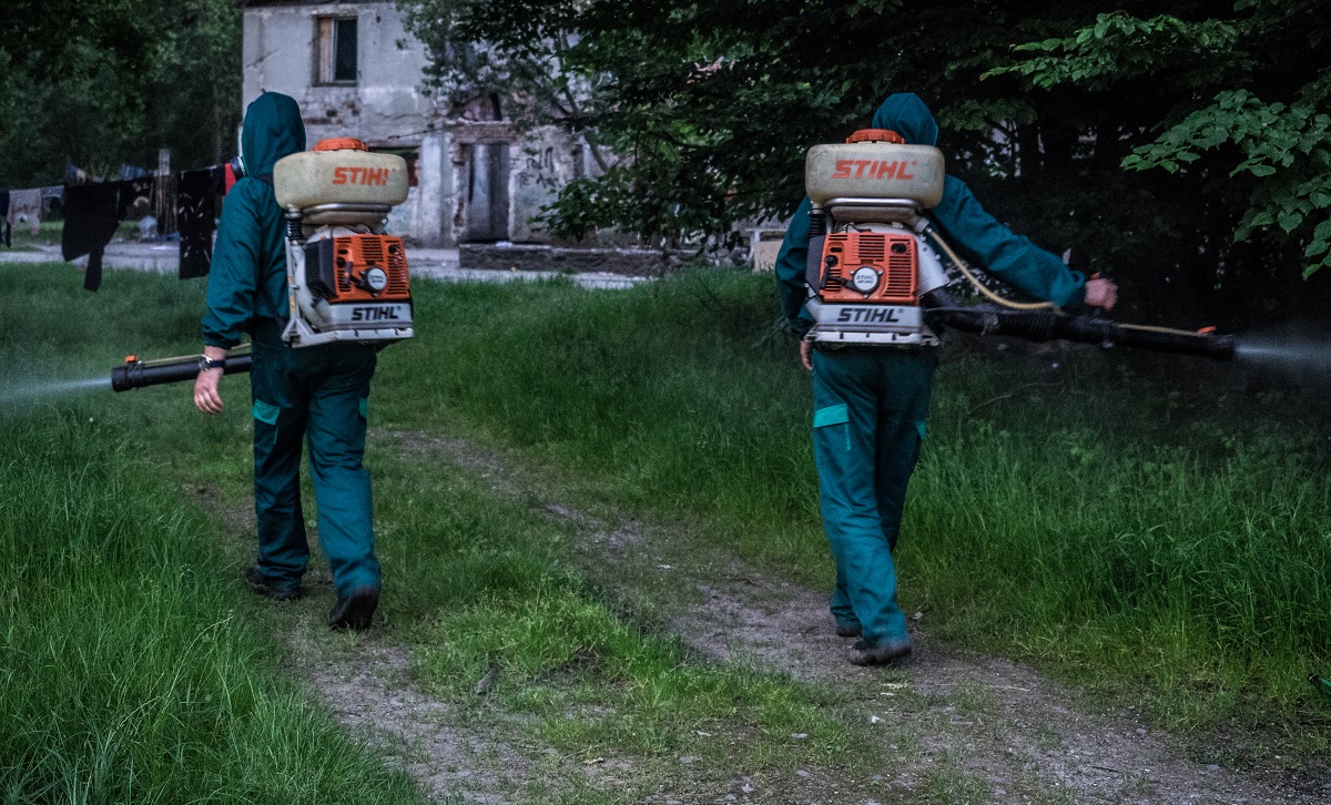 Primăria Sibiu desfășoară o nouă acțiune de dezinsecție împotriva căpușelor și a țânțarilor 