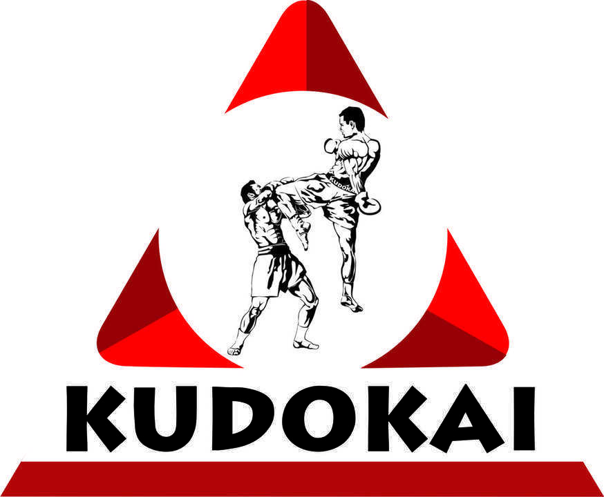 C.S.Kudokai Full Contact Sibiu