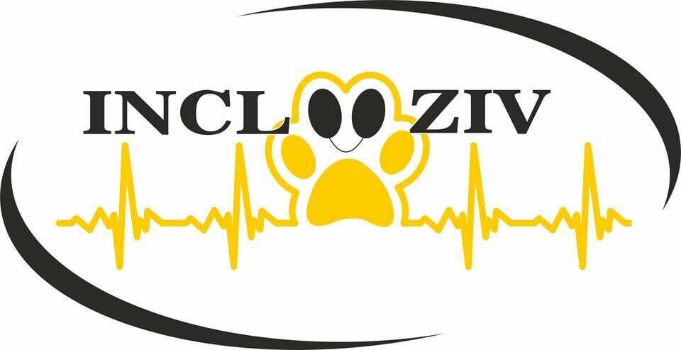  Asociația Incluziv - Câini De Terapie Sibiu - şi Allan - The Golden Therapy Dog