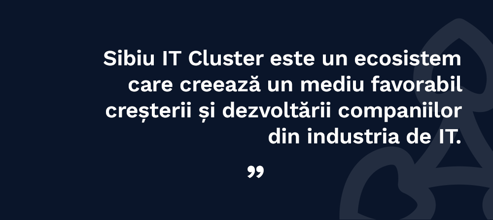 Sibiu IT Cluster