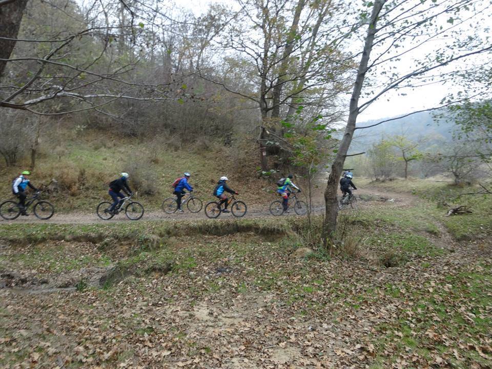 Tur cu biciclete Mocănița - Valea Hârtibaciului