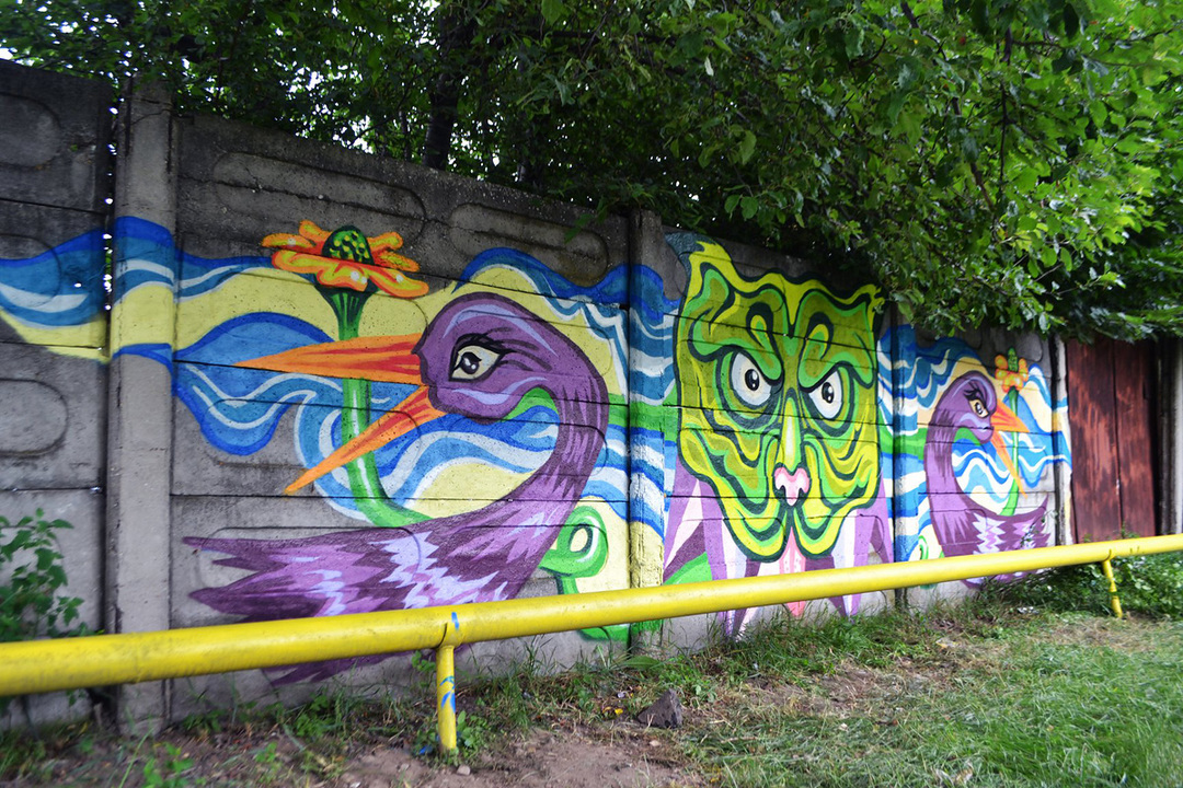 Street Art Spot: gard pe str. Malului (zona Kaufland)